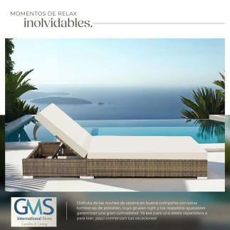  Inicio GMS Shop