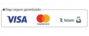 Pago-seguro-bizum